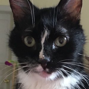 Meet your Posher, Felicitas